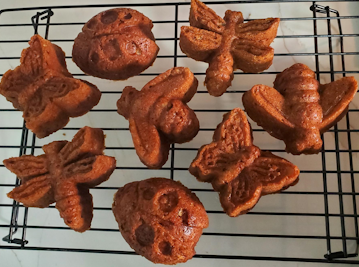 Baked bugcakes